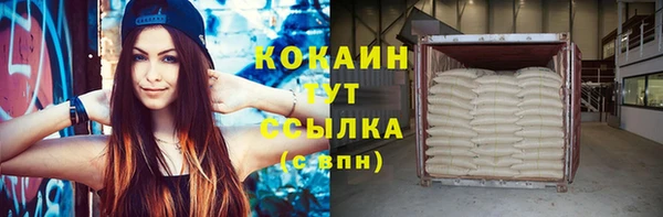мяу мяу мука Дмитриев