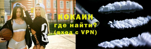 мдпв Дмитровск