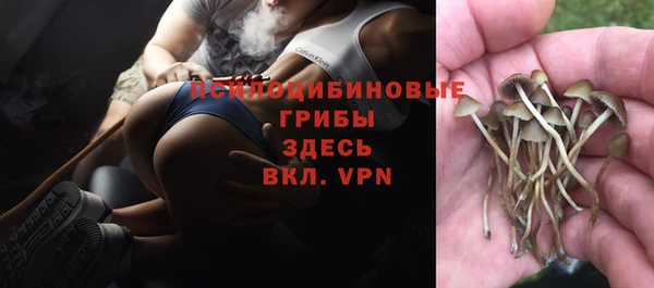 мдпв Дмитровск