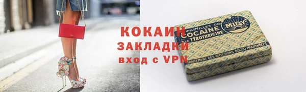 мяу мяу мука Дмитриев