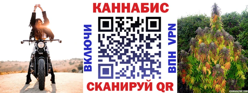 Бошки марихуана MAZAR  Кизилюрт 